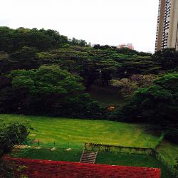 Blk 34 Upper Cross Street (Central Area), HDB 3 Rooms #40117672